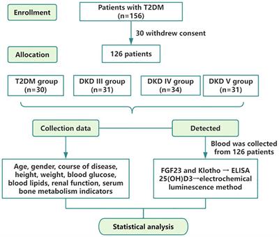 Predictive value of bone metabolism markers in the progression of diabetic kidney disease: a cross-sectional study